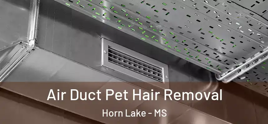  Air Duct Pet Hair Removal Horn Lake - MS