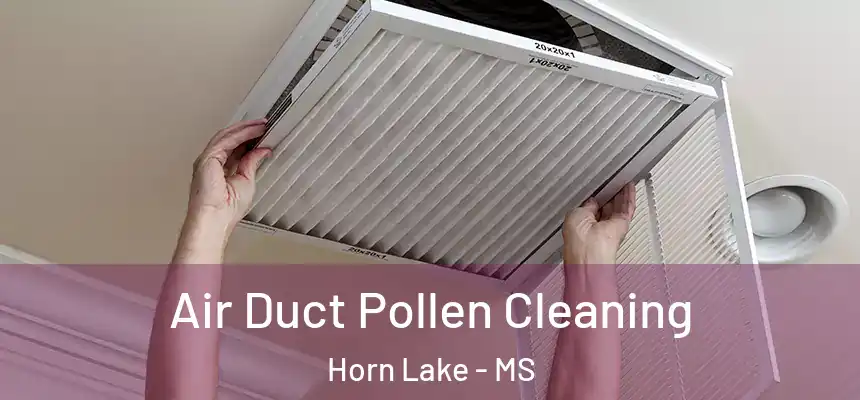 Air Duct Pollen Cleaning Horn Lake - MS