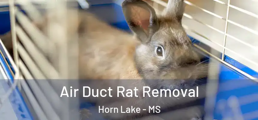  Air Duct Rat Removal Horn Lake - MS