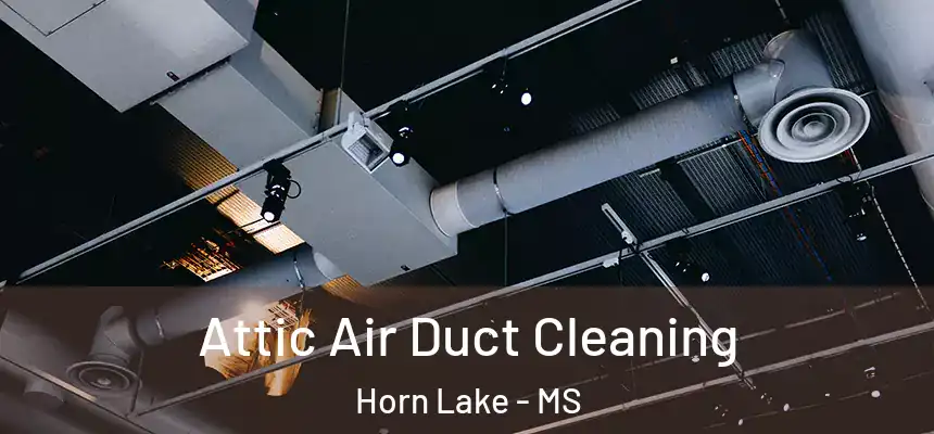 Attic Air Duct Cleaning Horn Lake - MS