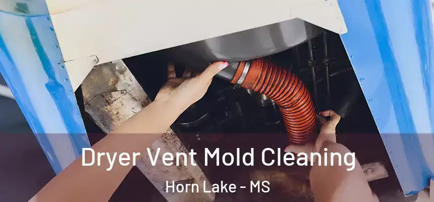  Dryer Vent Mold Cleaning Horn Lake - MS