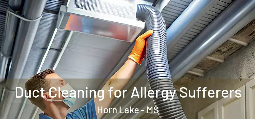  Duct Cleaning for Allergy Sufferers Horn Lake - MS