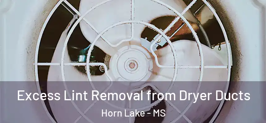  Excess Lint Removal from Dryer Ducts Horn Lake - MS