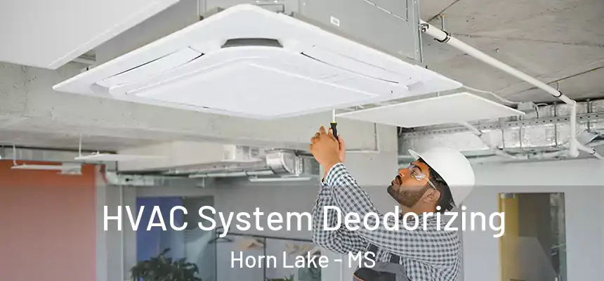  HVAC System Deodorizing Horn Lake - MS