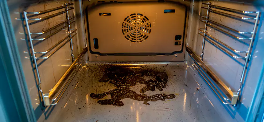 Our Dryer Vent Mold Cleaning Services in Horn Lake, MS