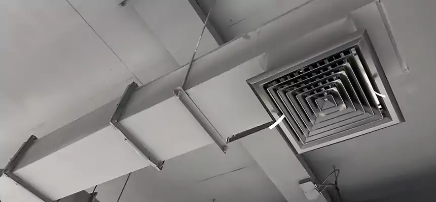 Our Rodent Droppings In Vents Services in Horn Lake, MS