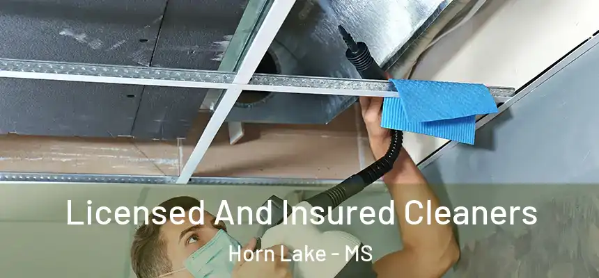  Licensed And Insured Cleaners Horn Lake - MS