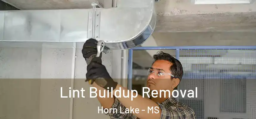 Lint Buildup Removal Horn Lake - MS