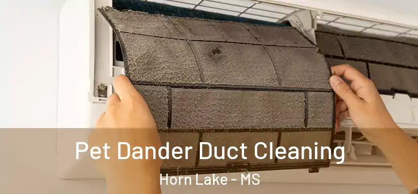 Pet Dander Duct Cleaning Horn Lake - MS