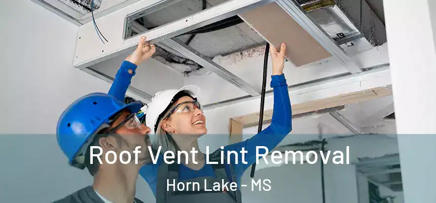  Roof Vent Lint Removal Horn Lake - MS