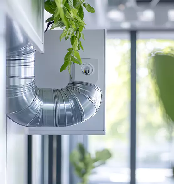 Professional Eco-Safe Dryer Vent Cleaning in Horn Lake, MS