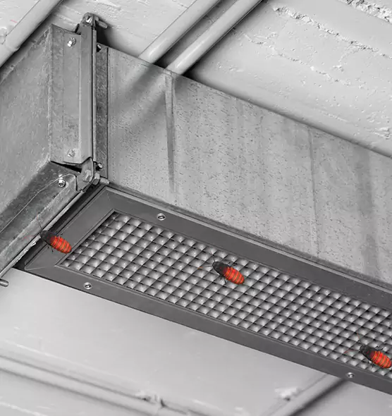 Affordable Insect Removal from Air Ducts in Horn Lake, MS