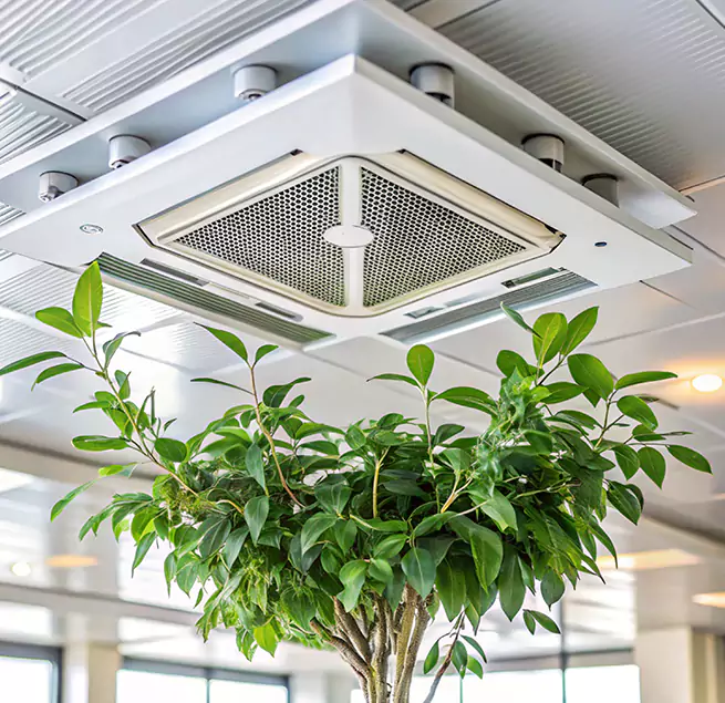 Why Homeowners & Businesses Trust Us in Horn Lake, MS?