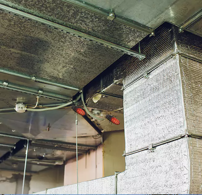 Why Homeowners & Businesses Trust Us Horn Lake, MS?