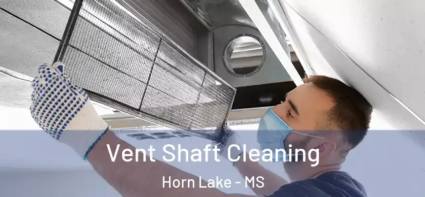  Vent Shaft Cleaning Horn Lake - MS